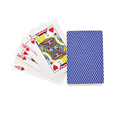 Playing Cards In Case